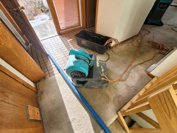 Best Water damage restoration services  in Glenwood, MN