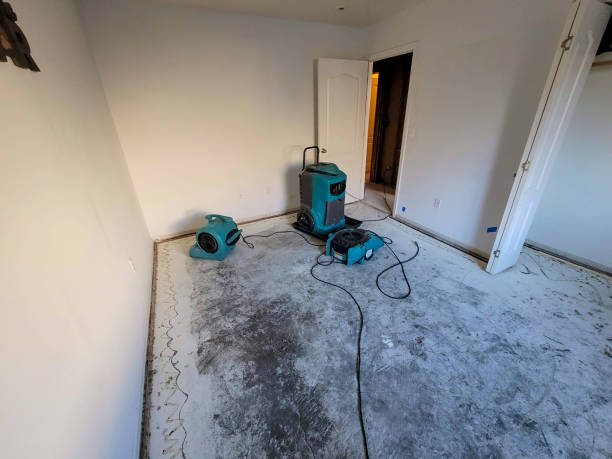 Best Flood restoration services  in Glenwood, MN