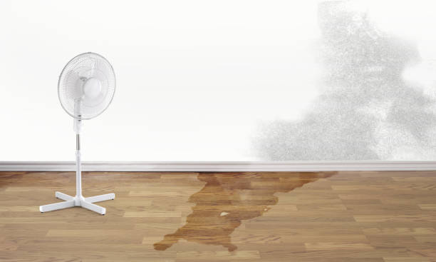 Best 24/7 water damage repair  in Glenwood, MN