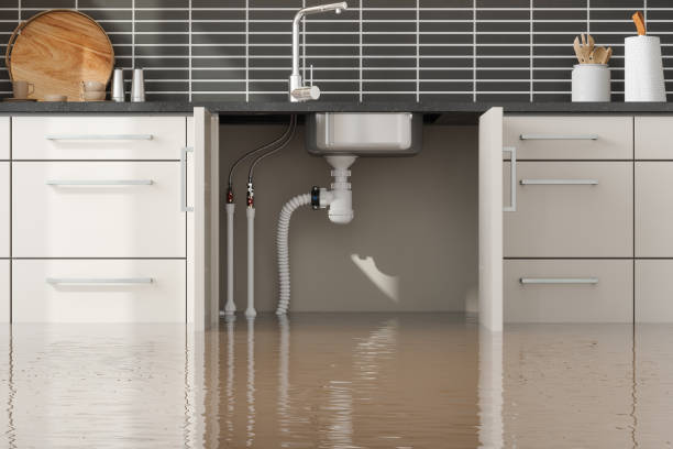 Best Local water damage restoration  in Glenwood, MN