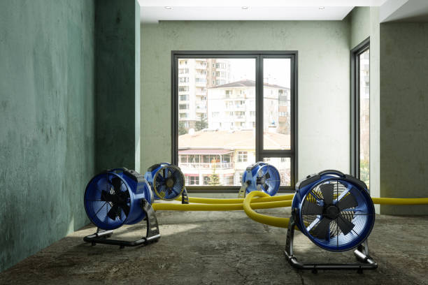 Best Water damage restoration company  in Glenwood, MN